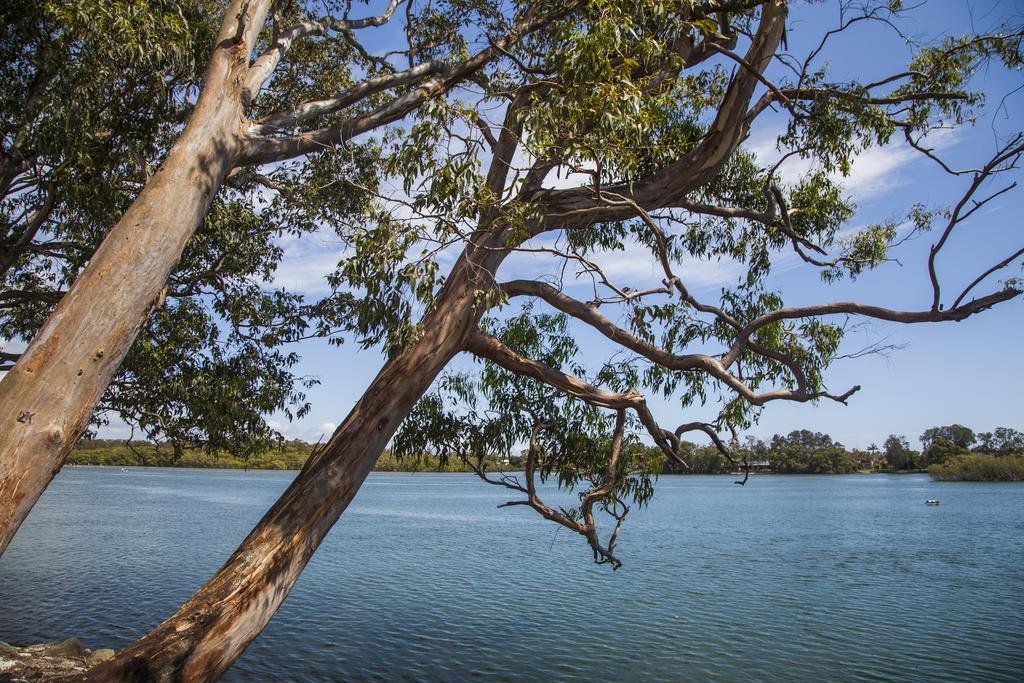 Colonial Tweed Holiday & Home Park Tweed Heads Exteriör bild